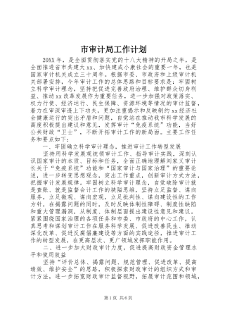 2024年市审计局工作计划