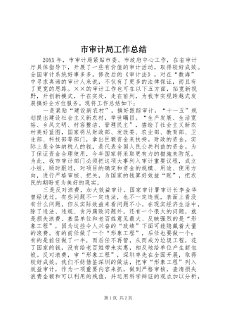 2024年市审计局工作总结