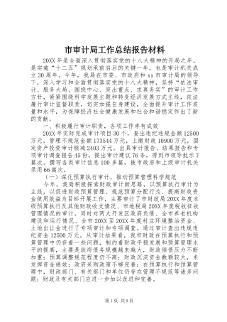 2024年市审计局工作总结报告材料