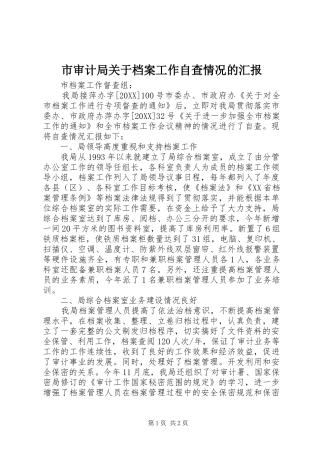 2024年市审计局关于档案工作自查情况的汇报