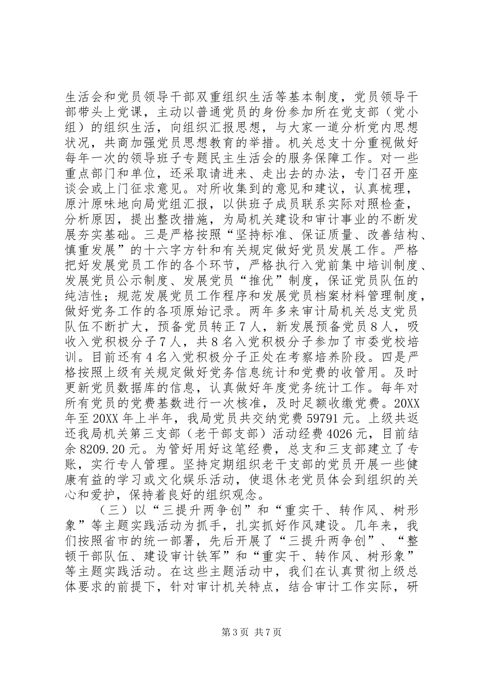 2024年市审计局机关总支部委员会工作报告_第3页