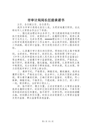 2024年市审计局局长任前承诺书