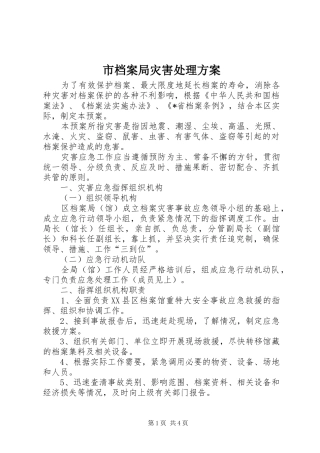 2024年市档案局灾害处理方案