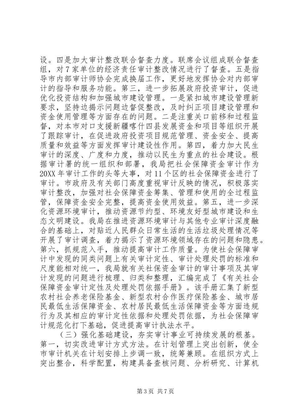 2024年市审计局年度依法行政工作总结报告_第3页
