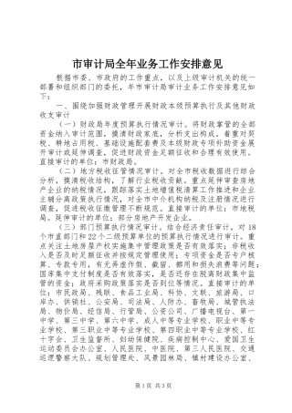2024年市审计局全年业务工作安排意见
