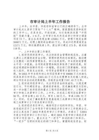 2024年市审计局上半年工作报告