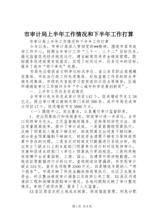 2024年市审计局上半年工作情况和下半年工作打算