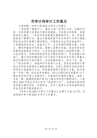 2024年市审计局审计工作重点