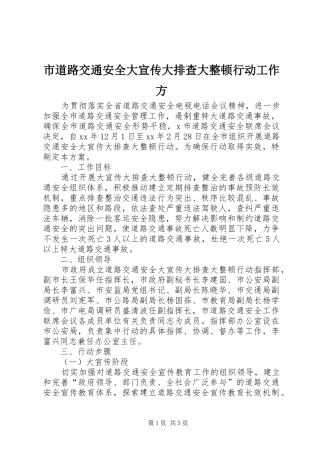 2024年市道路交通安全大宣传大排查大整顿行动工作方