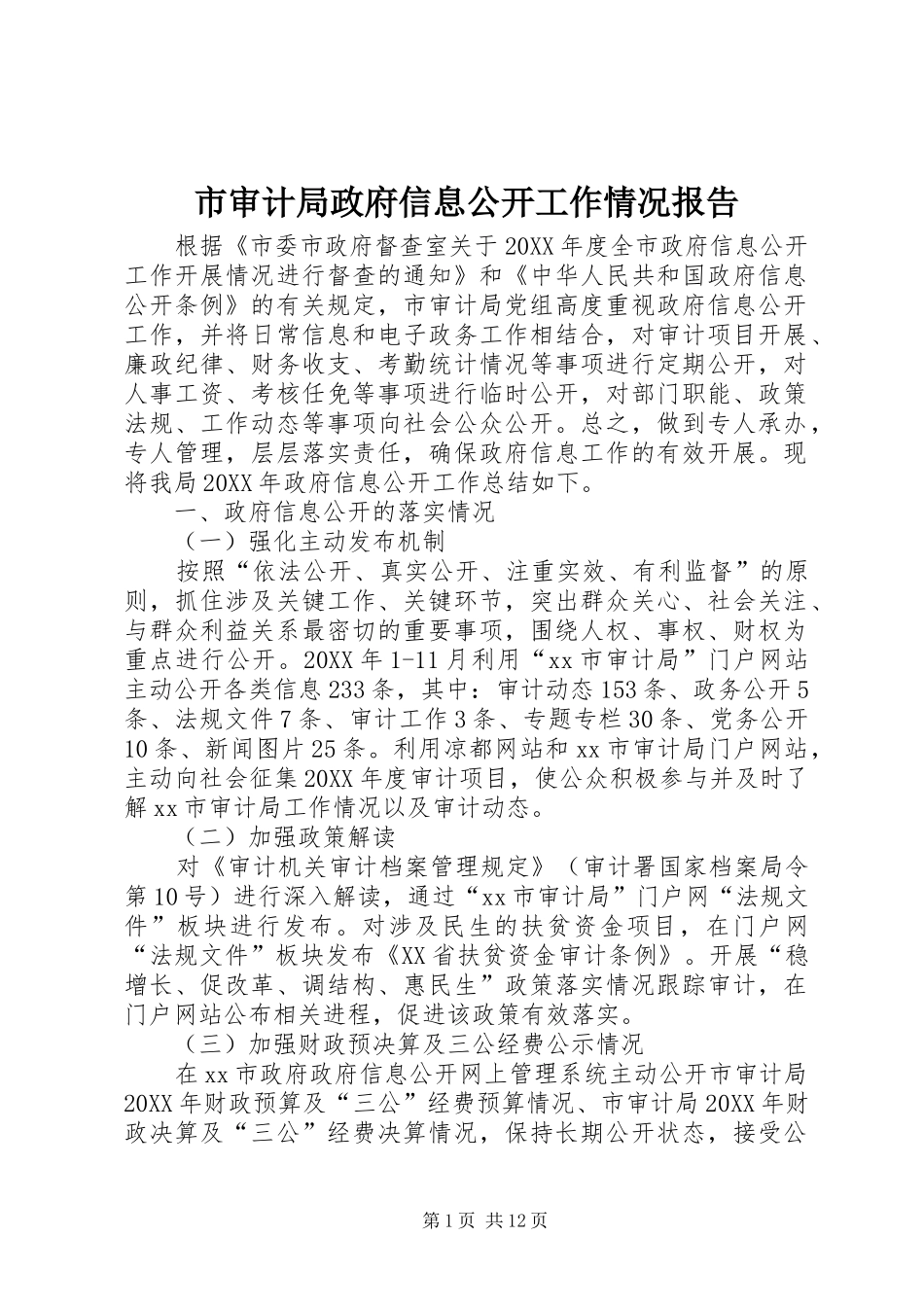 2024年市审计局政府信息公开工作情况报告_第1页