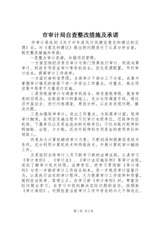 2024年市审计局自查整改措施及承诺