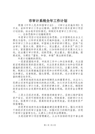 2024年市审计系统全年工作计划