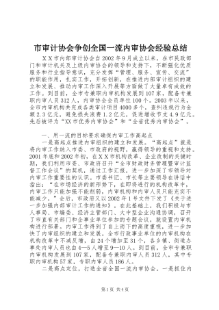 2024年市审计协会争创全国一流内审协会经验总结