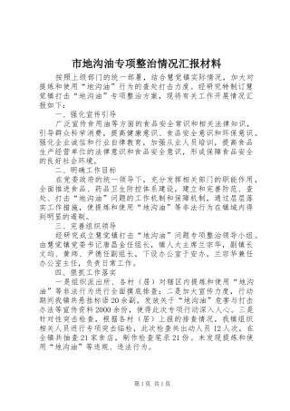 2024年市地沟油专项整治情况汇报材料