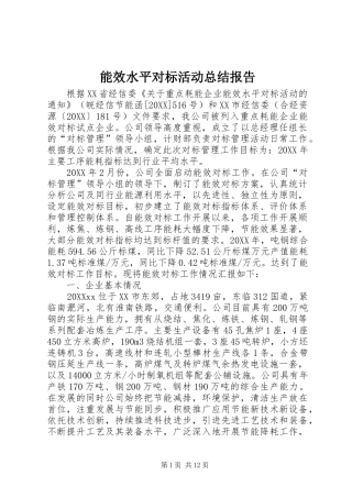 2024年能效水平对标活动总结报告