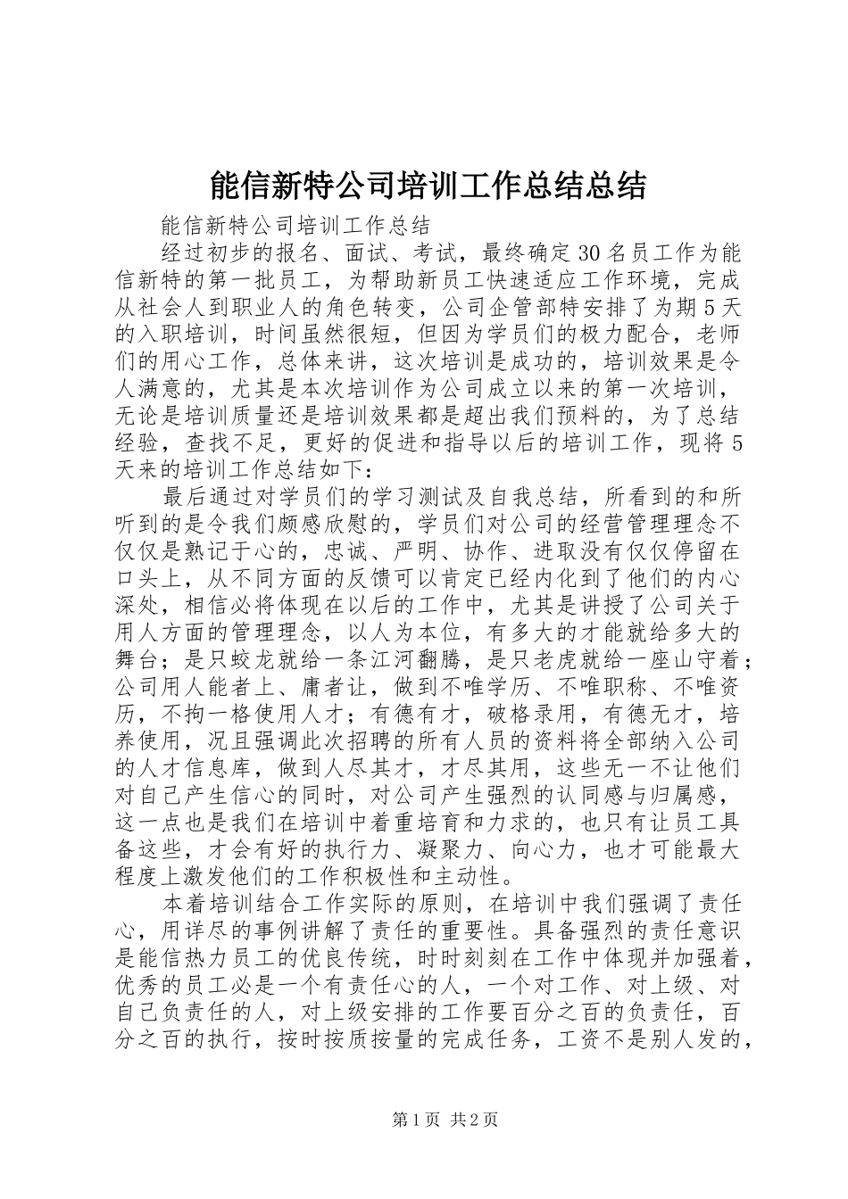 2024年能信新特公司培训工作总结总结_第1页