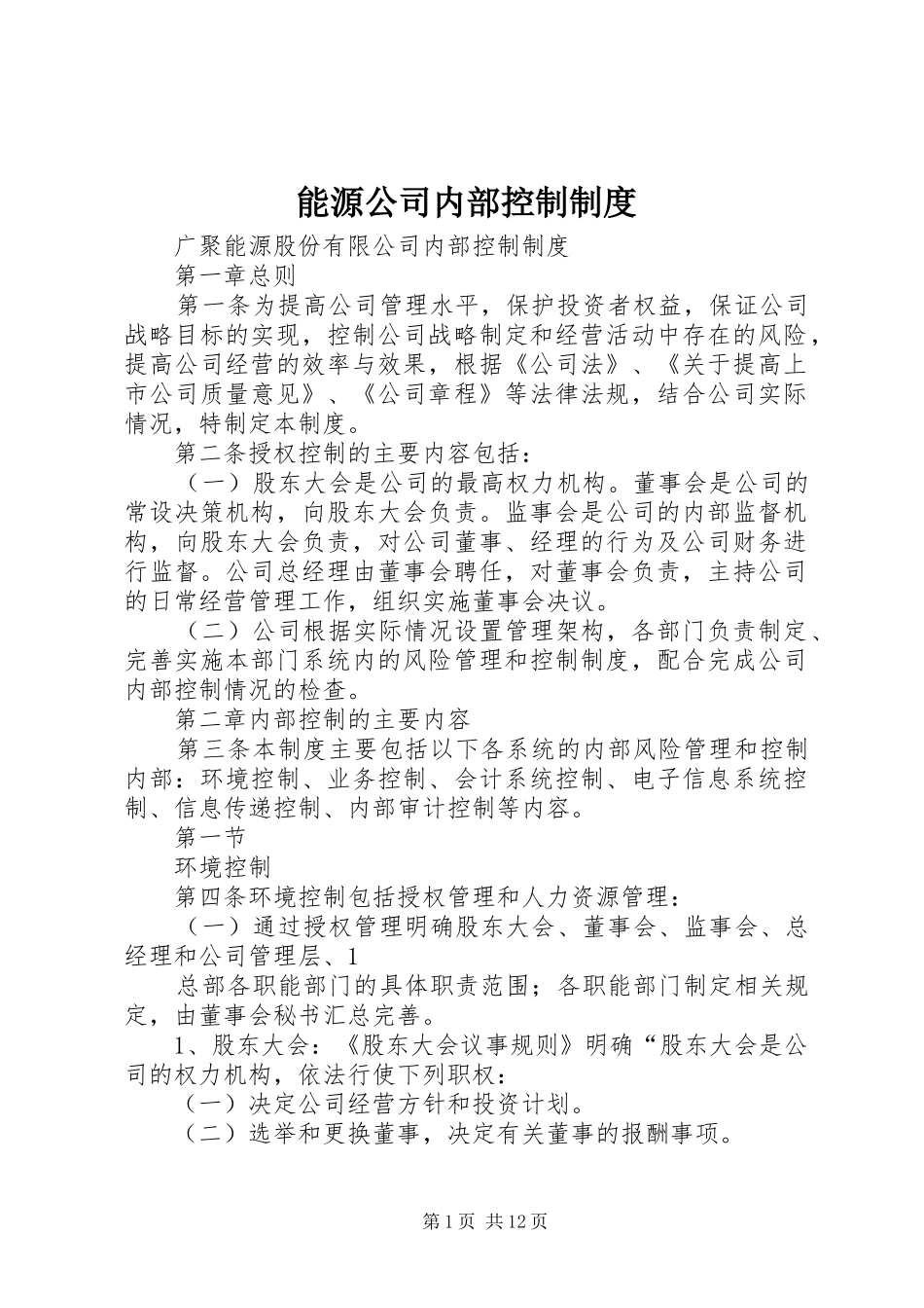 2024年能源公司内部控制制度_第1页