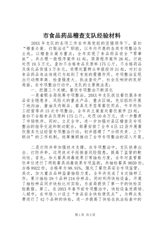 2024年市食品药品稽查支队经验材料