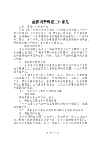 2024年能源消费调查工作意见