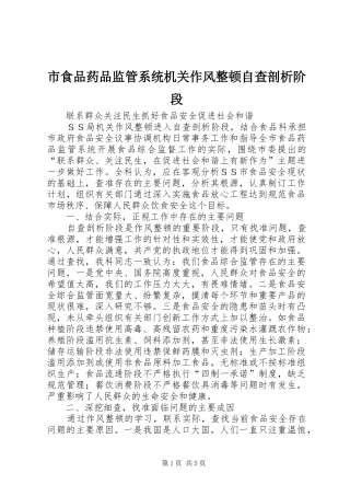 2024年市食品药品监管系统机关作风整顿自查剖析阶段