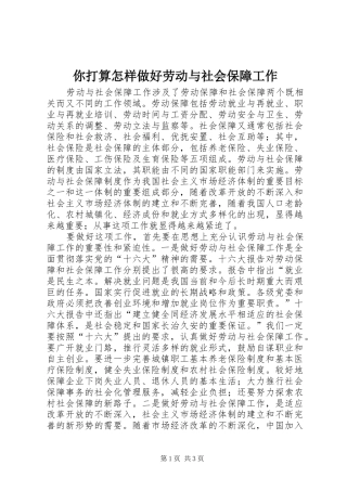 2024年你打算怎样做好劳动与社会保障工作