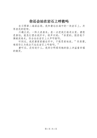 2024年你还会站在岩石上呼救吗