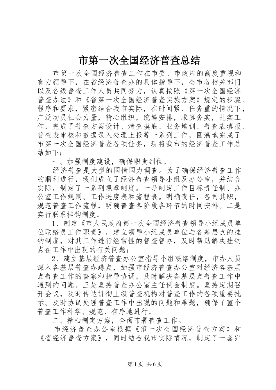 2024年市第一次全国经济普查总结_第1页