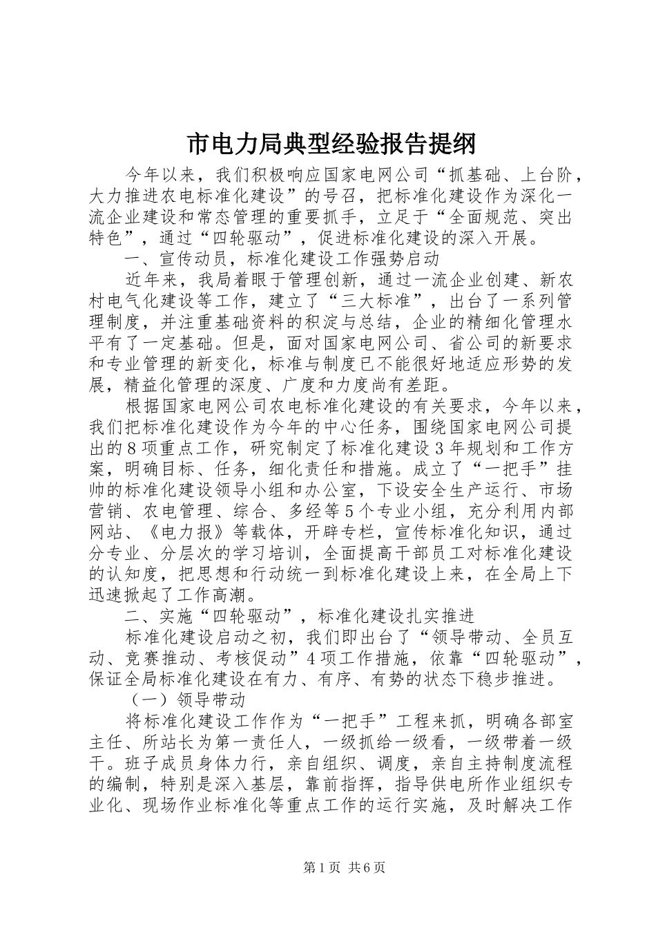 2024年市电力局典型经验报告提纲_第1页