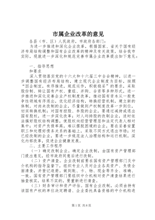 2024年市属企业改革的意见