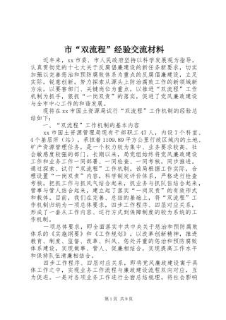 2024年市双流程经验交流材料