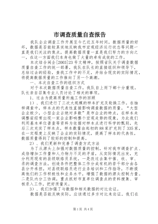 2024年市调查质量自查报告
