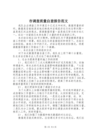 2024年市调查质量自查报告范文