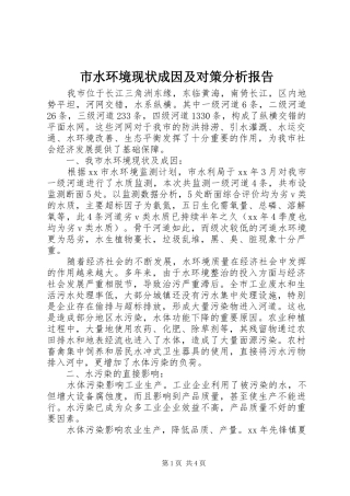 2024年市水环境现状成因及对策分析报告