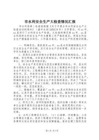 2024年市水利安全生产大检查情况汇报