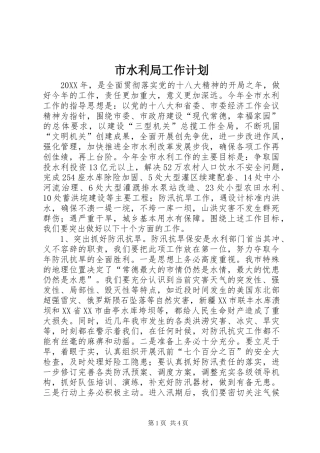 2024年市水利局工作计划