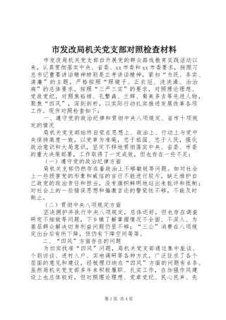 2024年市发改局机关党支部对照检查材料