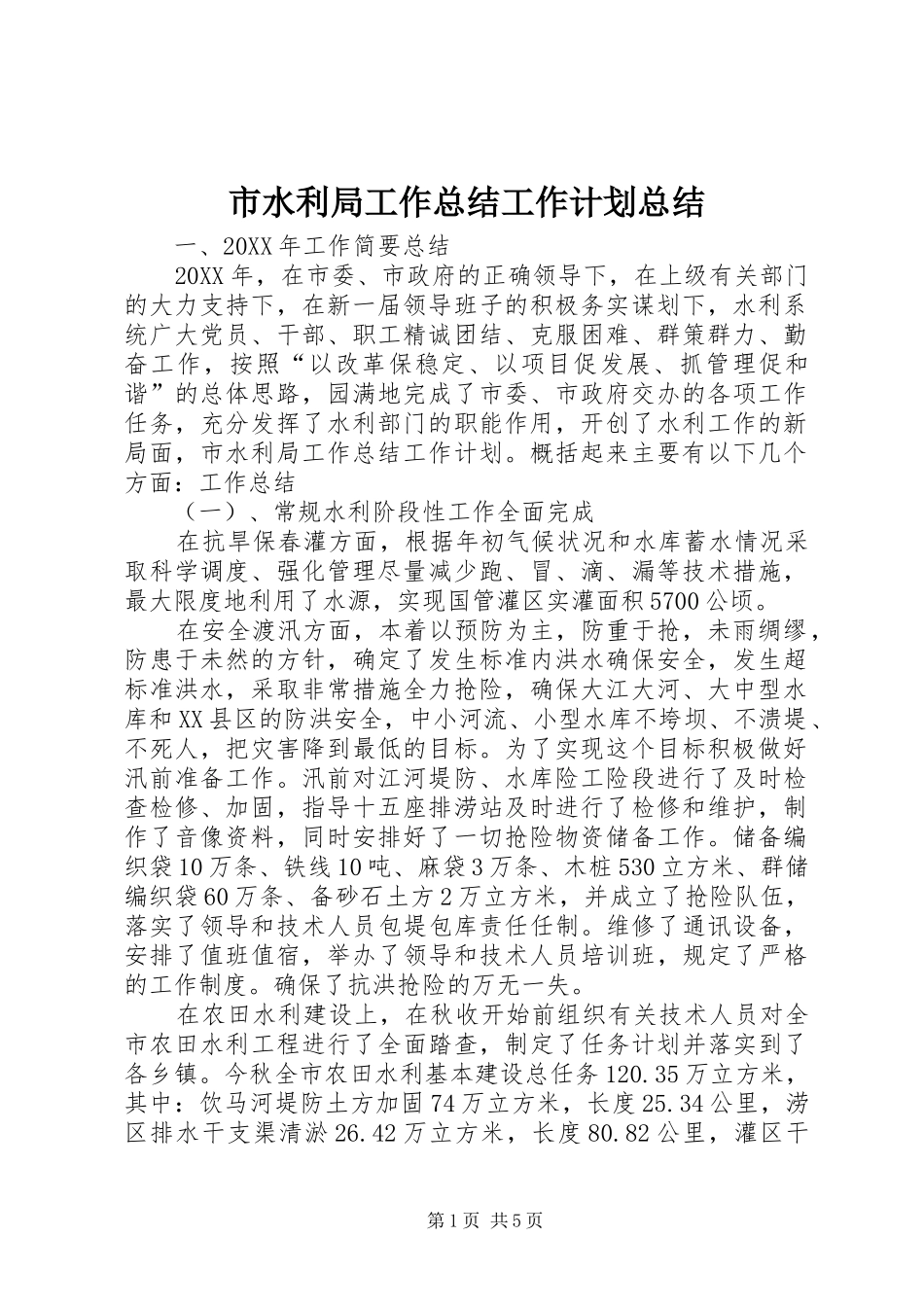 2024年市水利局工作总结工作计划总结_第1页