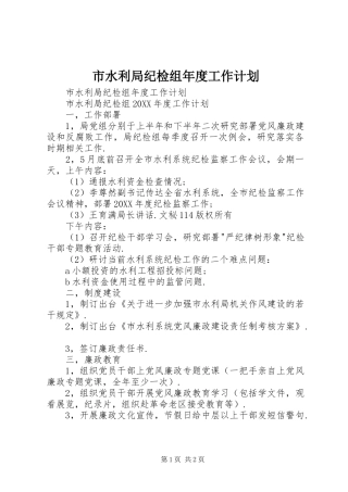 2024年市水利局纪检组年度工作计划