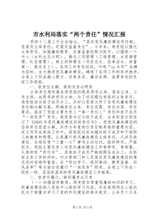 2024年市水利局落实两个责任情况汇报