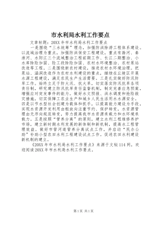 2024年市水利局水利工作要点