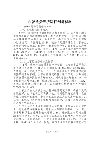 2024年市发改委经济运行剖析材料