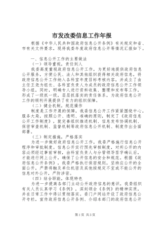 2024年市发改委信息工作年报