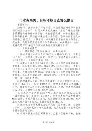 2024年市水务局关于目标考核自查情况报告