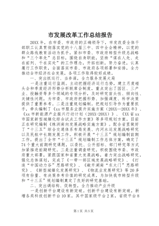 2024年市发展改革工作总结报告