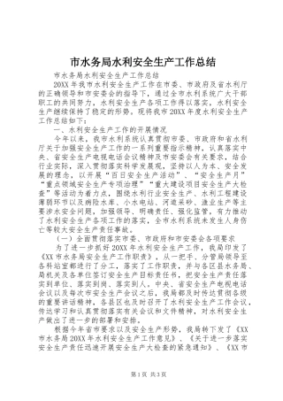 2024年市水务局水利安全生产工作总结