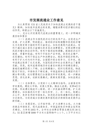 2024年市发展流通业工作意见