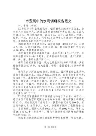 2024年市发展中的水利调研报告范文