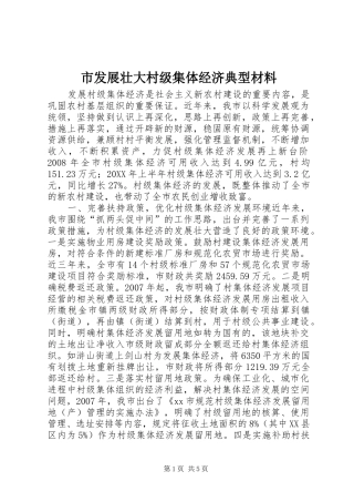 2024年市发展壮大村级集体经济典型材料