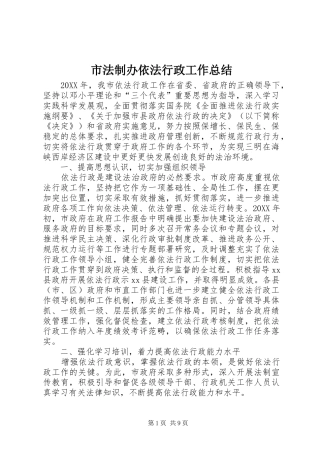 2024年市法制办依法行政工作总结