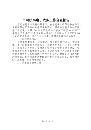 2024年市司法局电子政务工作自查报告